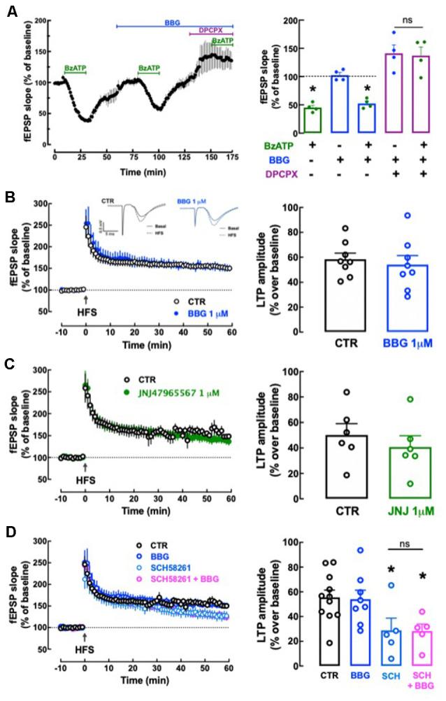 https://cdn.ncbi.nlm.nih.gov/pmc/blobs/599f/7957057/34d5931202dd/fncel-15-639322-g0009.jpg