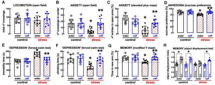 https://cdn.ncbi.nlm.nih.gov/pmc/blobs/599f/7957057/35b0dd470c93/fncel-15-639322-g0006.jpg