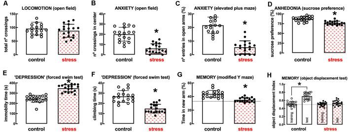 https://cdn.ncbi.nlm.nih.gov/pmc/blobs/599f/7957057/9063fcc314eb/fncel-15-639322-g0002.jpg