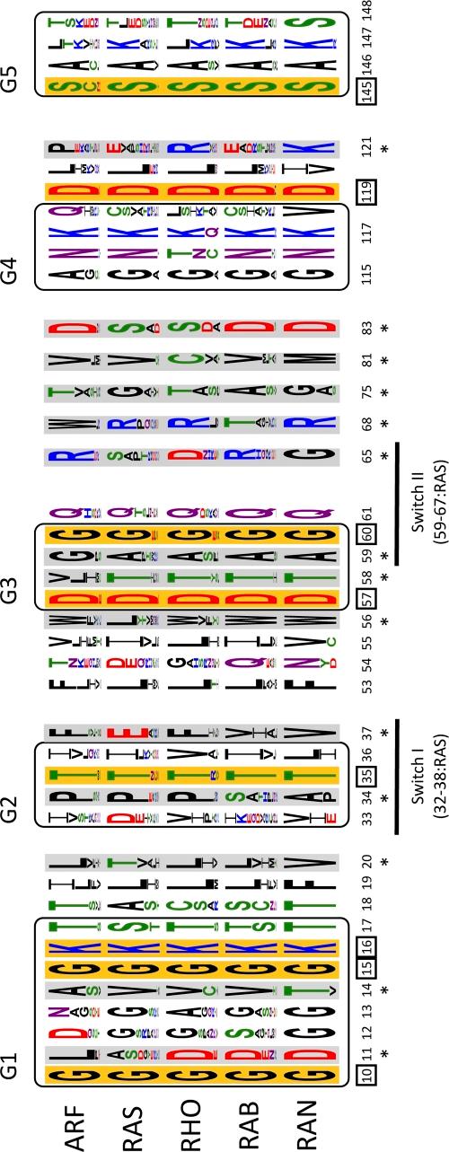 https://cdn.ncbi.nlm.nih.gov/pmc/blobs/59a1/3265948/8dc2414d01ff/JCB_201103008_Fig4.jpg