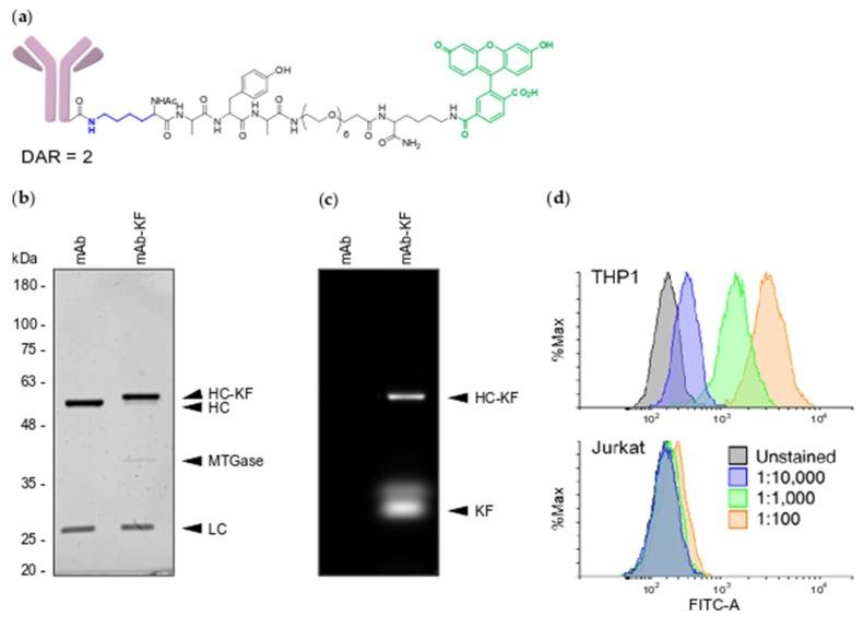 https://cdn.ncbi.nlm.nih.gov/pmc/blobs/59a2/6767100/58655e220720/molecules-24-03287-g001.jpg