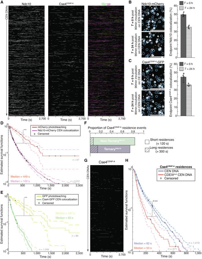 https://cdn.ncbi.nlm.nih.gov/pmc/blobs/59a3/10476280/0b37efd72ab6/EMBJ-42-e114534-g006.jpg