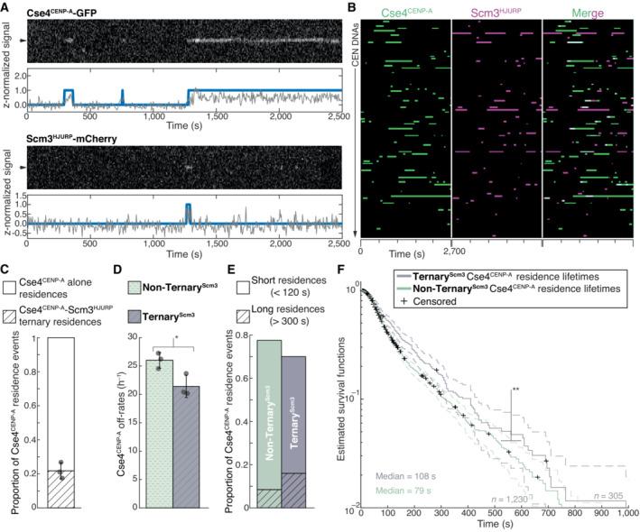 https://cdn.ncbi.nlm.nih.gov/pmc/blobs/59a3/10476280/c92cefa6362e/EMBJ-42-e114534-g011.jpg