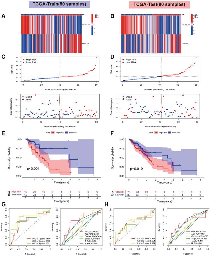 https://cdn.ncbi.nlm.nih.gov/pmc/blobs/59a3/11006502/385ec81370e2/aging-16-205636-g004.jpg
