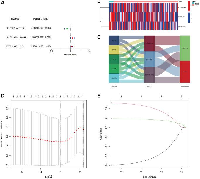 https://cdn.ncbi.nlm.nih.gov/pmc/blobs/59a3/11006502/d69e0be27b15/aging-16-205636-g003.jpg