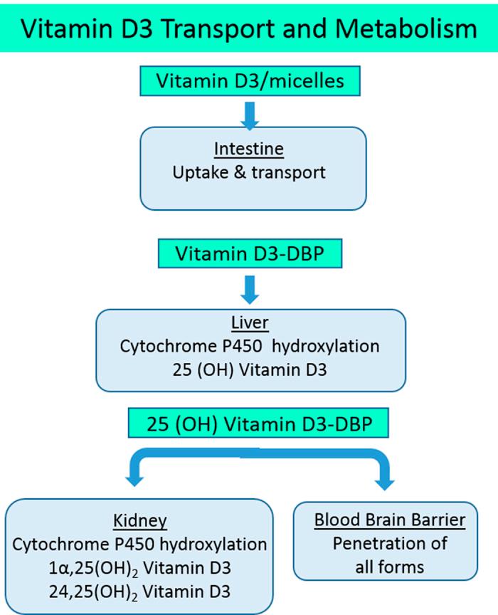 https://cdn.ncbi.nlm.nih.gov/pmc/blobs/59a3/5296733/741da021b057/srep42296-f6.jpg