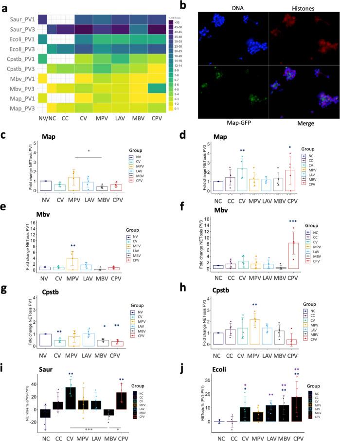 https://cdn.ncbi.nlm.nih.gov/pmc/blobs/59a4/8361088/4c5bbaa38af3/41541_2021_367_Fig3_HTML.jpg