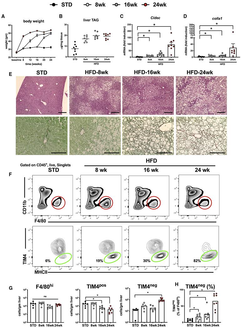 https://cdn.ncbi.nlm.nih.gov/pmc/blobs/59a7/7877246/2842c446d624/nihms-1662664-f0001.jpg