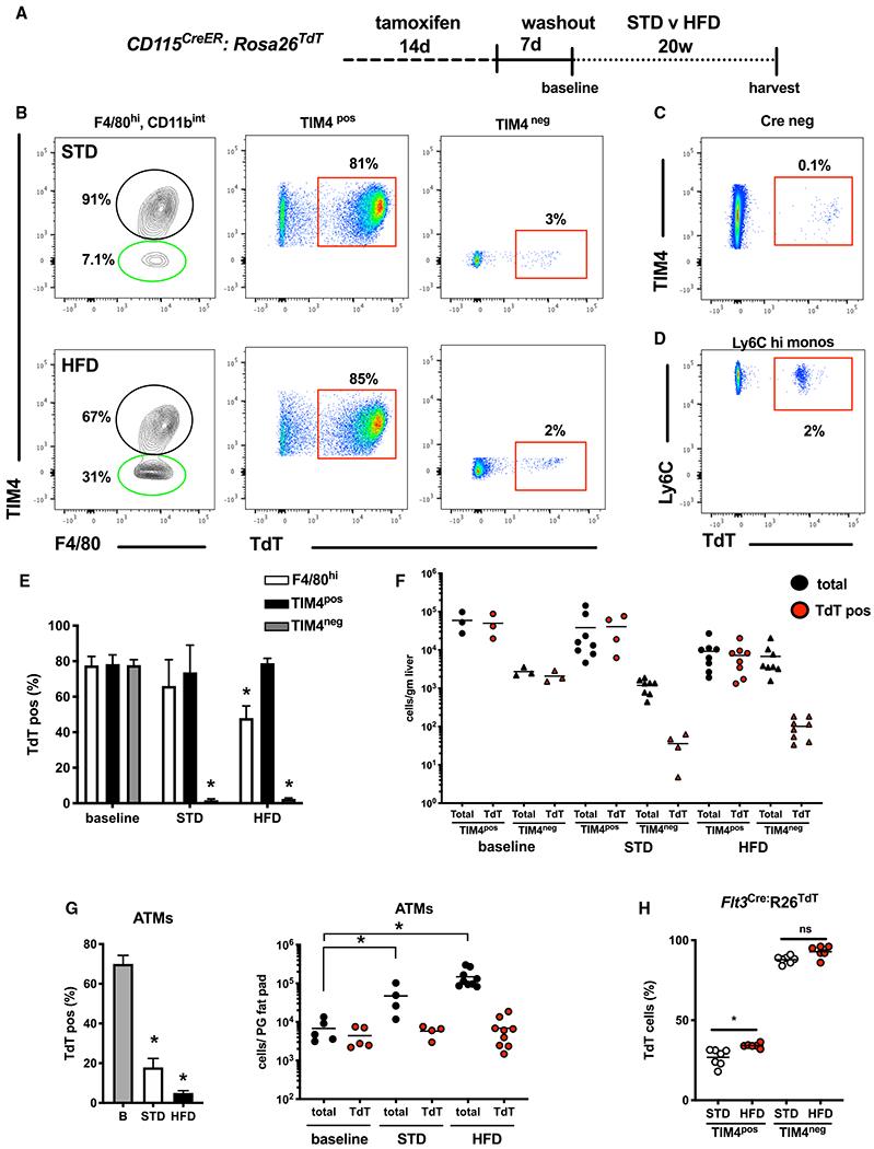 https://cdn.ncbi.nlm.nih.gov/pmc/blobs/59a7/7877246/72b9f8fa1b00/nihms-1662664-f0002.jpg