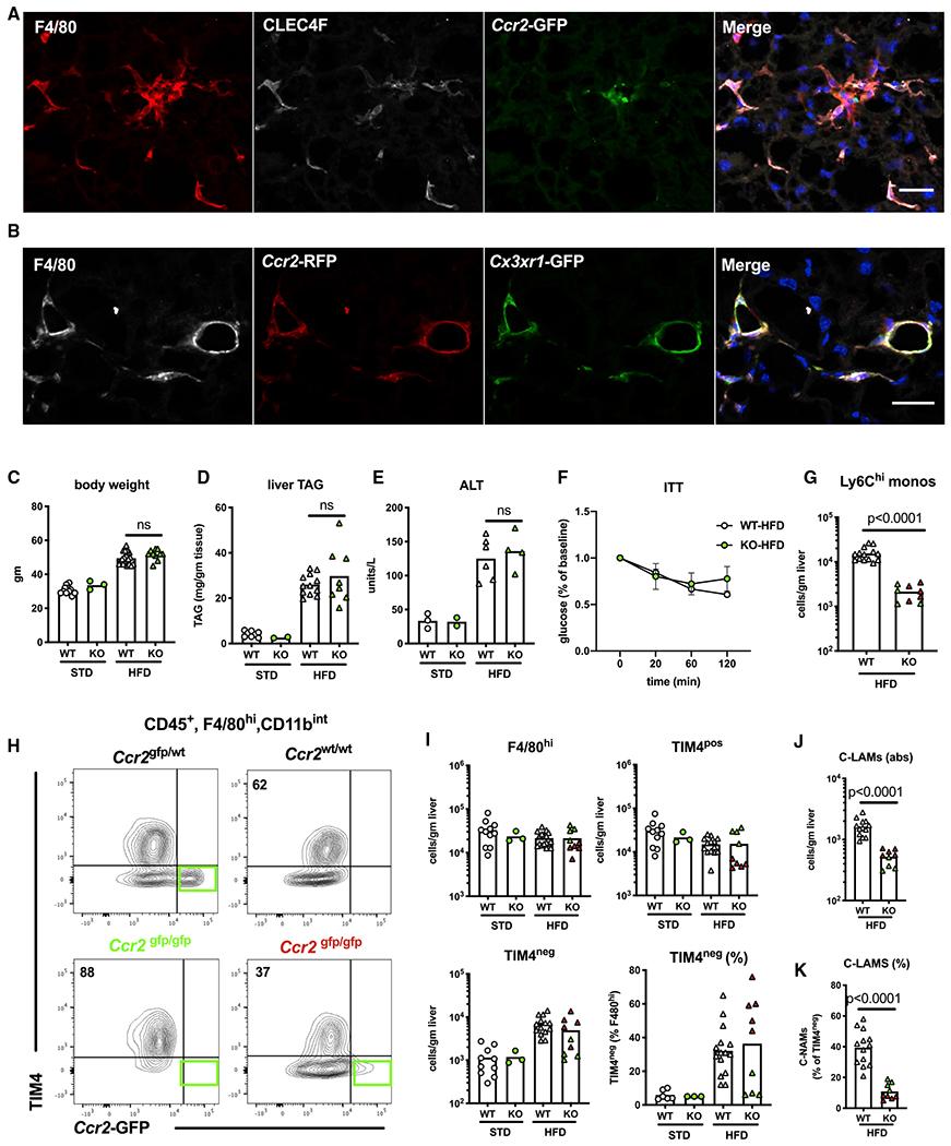 https://cdn.ncbi.nlm.nih.gov/pmc/blobs/59a7/7877246/73173db534eb/nihms-1662664-f0005.jpg