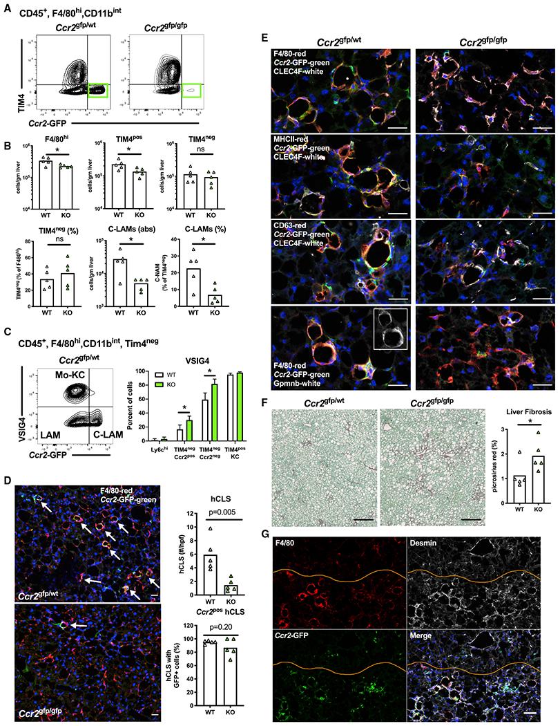 https://cdn.ncbi.nlm.nih.gov/pmc/blobs/59a7/7877246/91e8f315d3d7/nihms-1662664-f0007.jpg