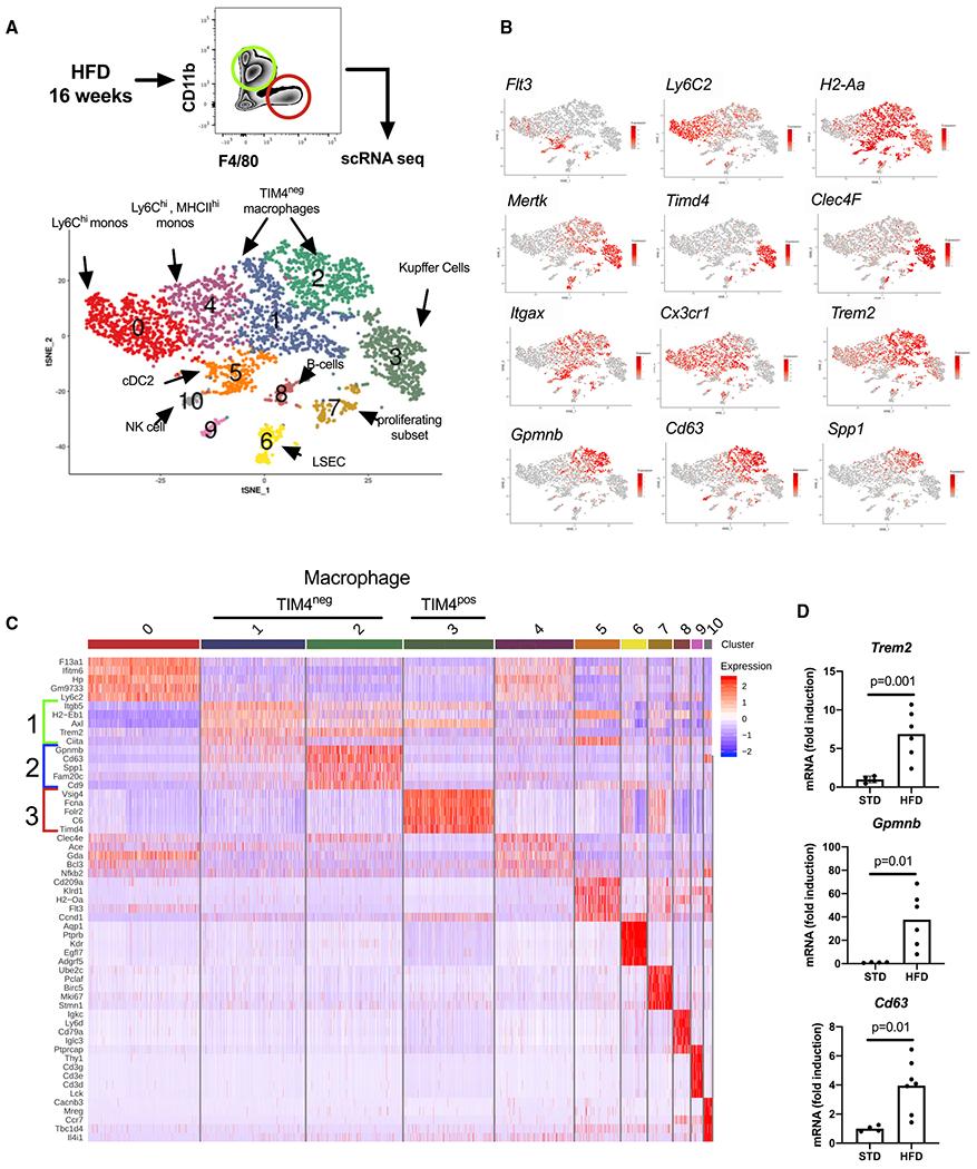 https://cdn.ncbi.nlm.nih.gov/pmc/blobs/59a7/7877246/c5c7783f98d1/nihms-1662664-f0003.jpg