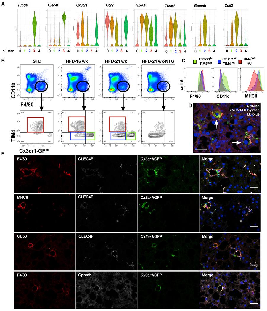https://cdn.ncbi.nlm.nih.gov/pmc/blobs/59a7/7877246/d6c601d4f530/nihms-1662664-f0004.jpg