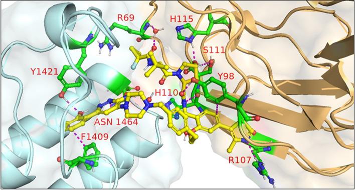https://cdn.ncbi.nlm.nih.gov/pmc/blobs/59a9/10061819/13b4da978adb/12943_2022_1707_Fig23_HTML.jpg