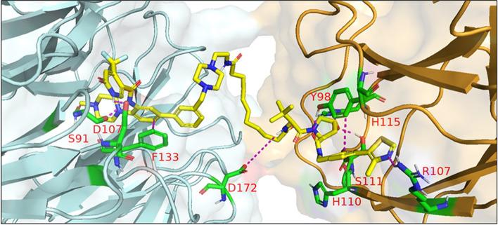 https://cdn.ncbi.nlm.nih.gov/pmc/blobs/59a9/10061819/7e53d31f1579/12943_2022_1707_Fig25_HTML.jpg