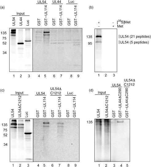 https://cdn.ncbi.nlm.nih.gov/pmc/blobs/59a9/3052538/20ebde9c77b2/2029fig3.jpg
