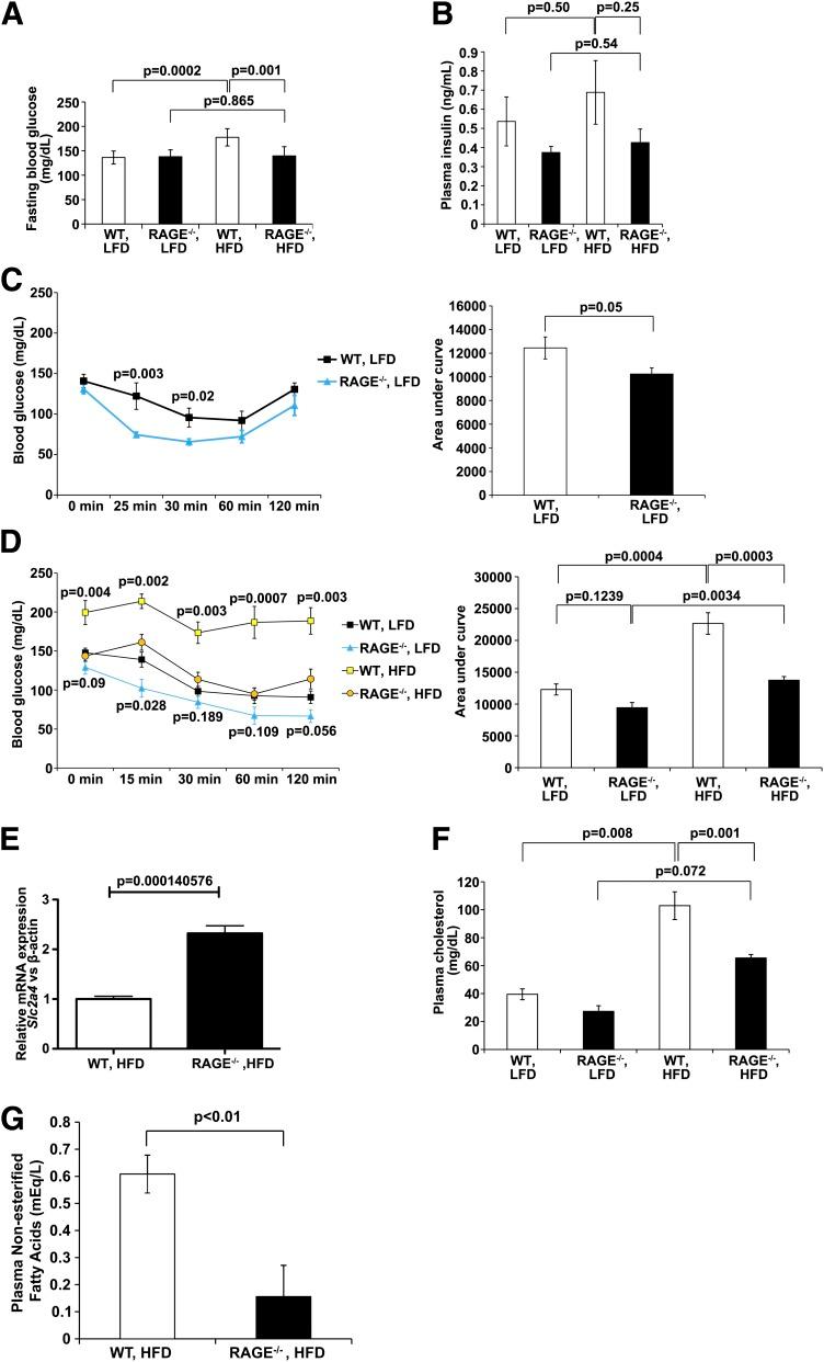 https://cdn.ncbi.nlm.nih.gov/pmc/blobs/59a9/4030112/2a59a87f4e40/1948fig2.jpg