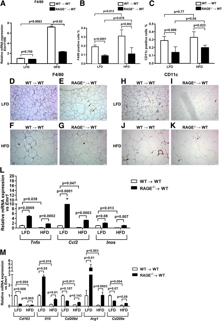 https://cdn.ncbi.nlm.nih.gov/pmc/blobs/59a9/4030112/8bda08fe00e8/1948fig7.jpg