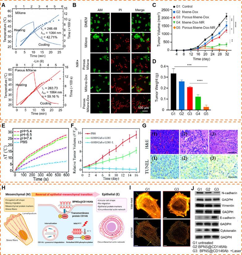 https://cdn.ncbi.nlm.nih.gov/pmc/blobs/59aa/10874567/cbc34409365a/12951_2024_2319_Fig6_HTML.jpg