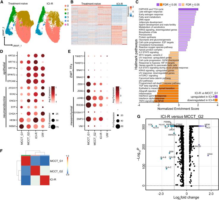 https://cdn.ncbi.nlm.nih.gov/pmc/blobs/59ab/10394170/147654d53f74/gr2.jpg