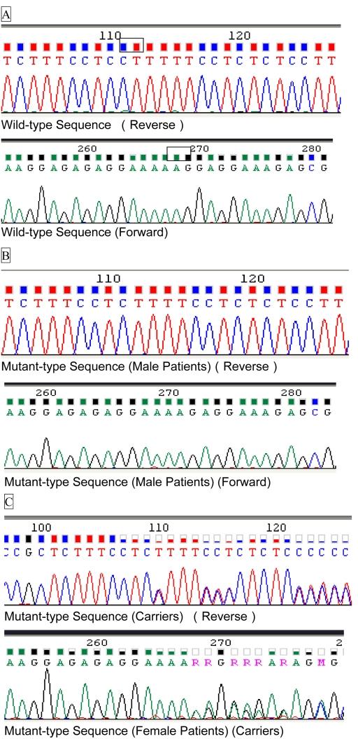 https://cdn.ncbi.nlm.nih.gov/pmc/blobs/59ac/2927444/15be62aecfa6/mv-v16-1620-f3.jpg