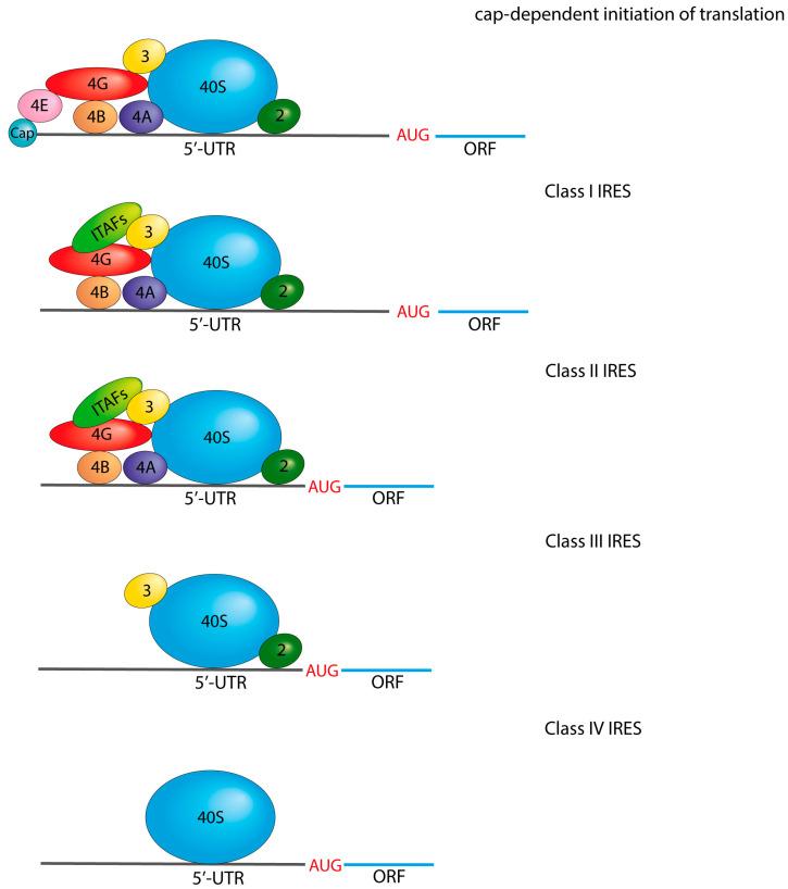https://cdn.ncbi.nlm.nih.gov/pmc/blobs/59ae/10610676/2bf4a1fefb27/vaccines-11-01600-g004.jpg