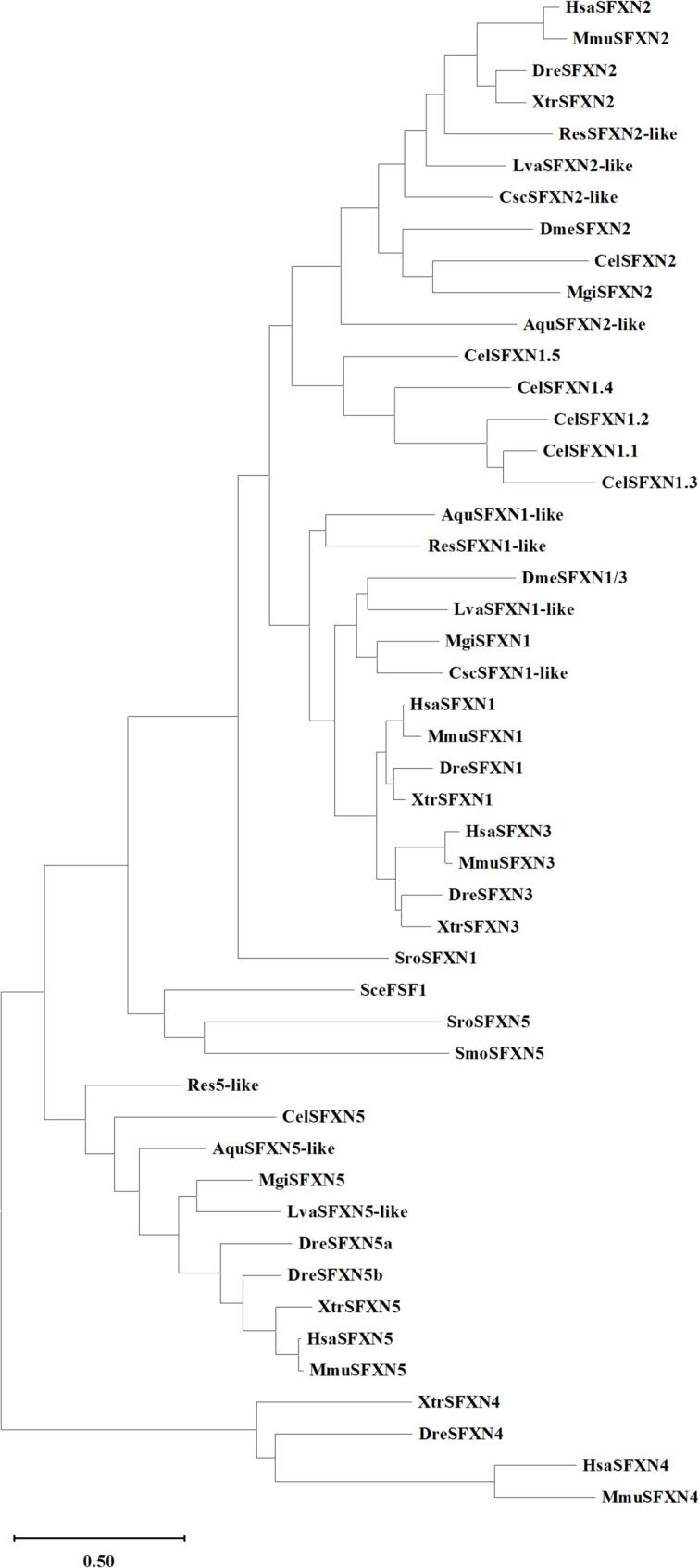 https://cdn.ncbi.nlm.nih.gov/pmc/blobs/59ae/12180156/076949601da0/40246_2025_779_Fig1_HTML.jpg