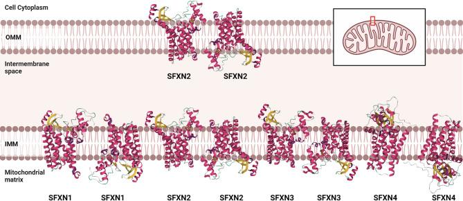 https://cdn.ncbi.nlm.nih.gov/pmc/blobs/59ae/12180156/0cdf05930f3b/40246_2025_779_Fig5_HTML.jpg
