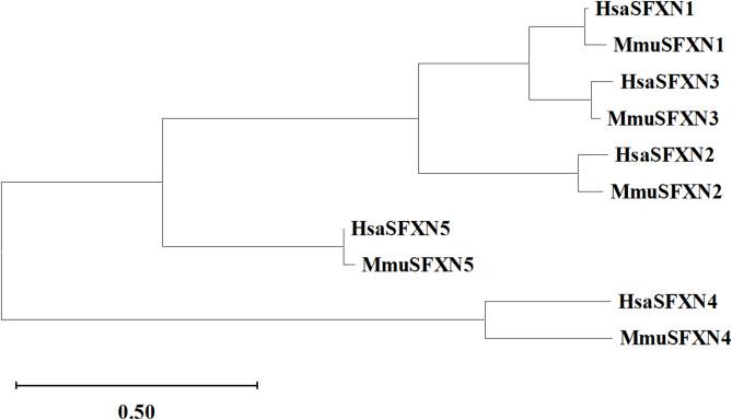 https://cdn.ncbi.nlm.nih.gov/pmc/blobs/59ae/12180156/3b2115b6bd5c/40246_2025_779_Fig3_HTML.jpg