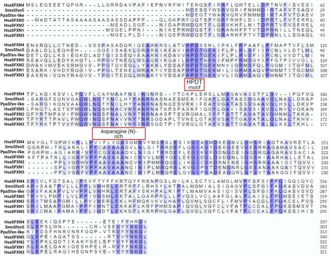 https://cdn.ncbi.nlm.nih.gov/pmc/blobs/59ae/12180156/7f98d23dd100/40246_2025_779_Fig2_HTML.jpg