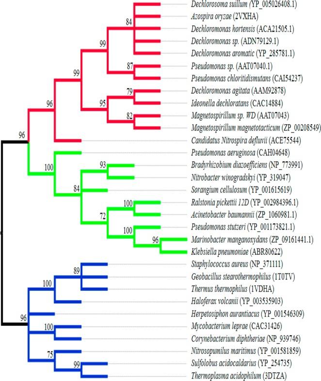 https://cdn.ncbi.nlm.nih.gov/pmc/blobs/59ae/4303309/b11c9c35a116/bi-2014-01184c_0002.jpg