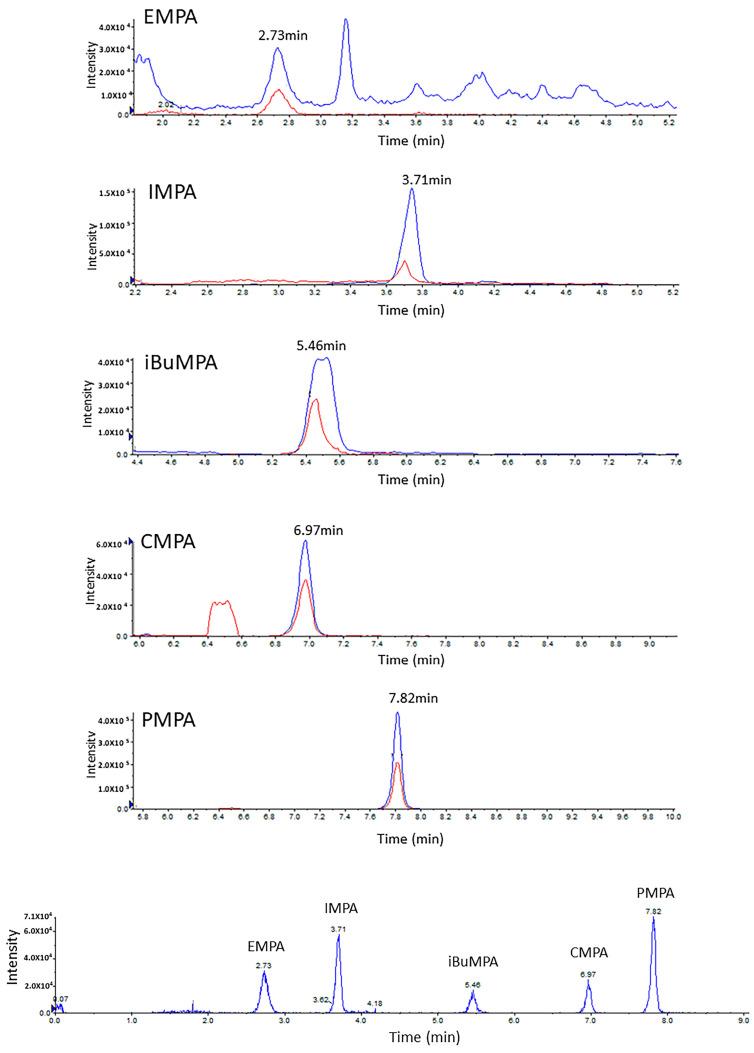 https://cdn.ncbi.nlm.nih.gov/pmc/blobs/59b1/10707994/2c4f15955c92/molecules-28-07687-g002.jpg
