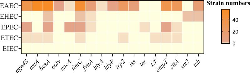 https://cdn.ncbi.nlm.nih.gov/pmc/blobs/59b2/12123207/298e5734e7e5/fcimb-15-1526028-g008.jpg