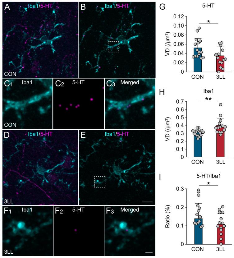 https://cdn.ncbi.nlm.nih.gov/pmc/blobs/59b2/12347334/36f56336a4a6/ijms-26-07519-g004.jpg