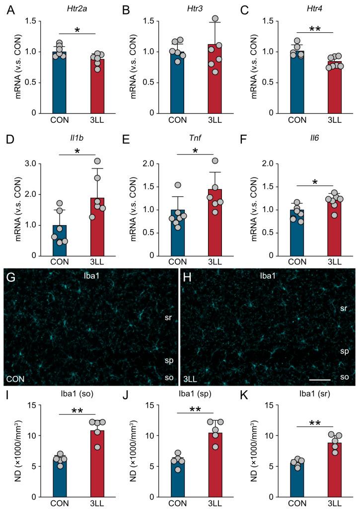 https://cdn.ncbi.nlm.nih.gov/pmc/blobs/59b2/12347334/5ad04671305c/ijms-26-07519-g003.jpg
