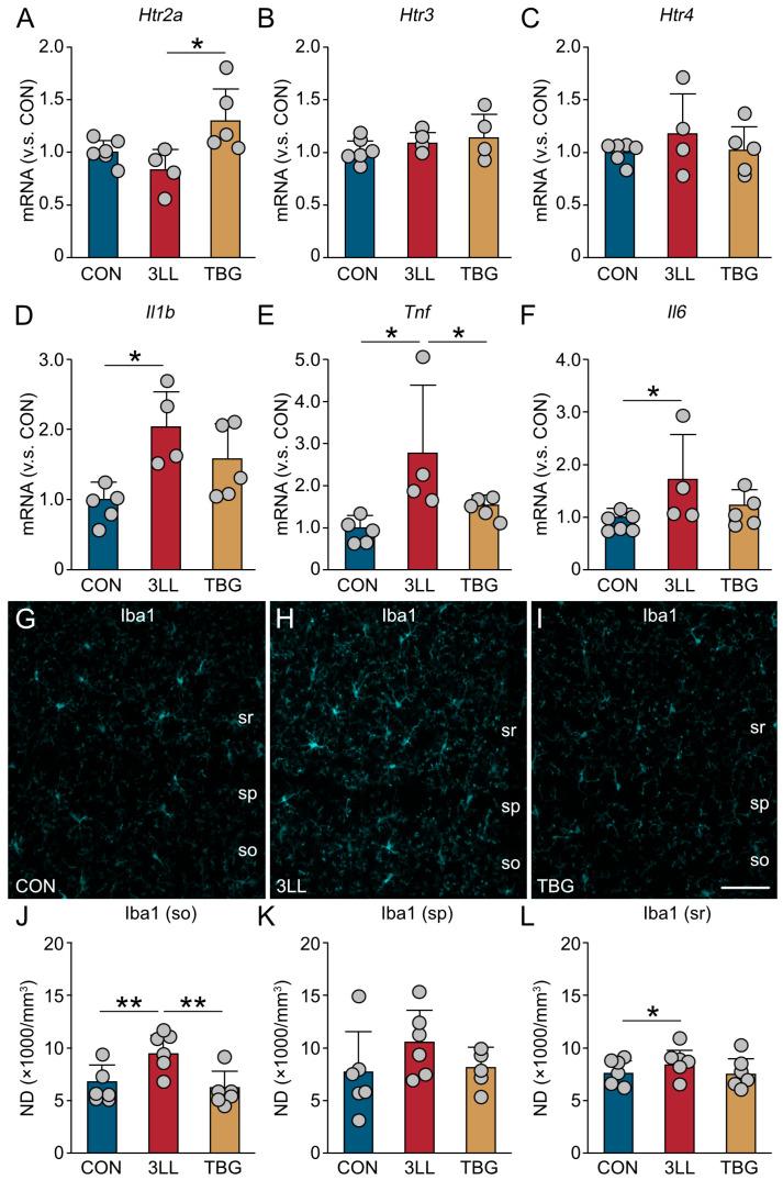 https://cdn.ncbi.nlm.nih.gov/pmc/blobs/59b2/12347334/b6a708ec9bce/ijms-26-07519-g006.jpg