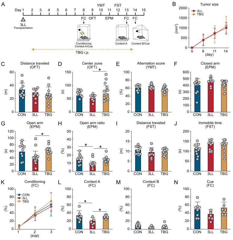 https://cdn.ncbi.nlm.nih.gov/pmc/blobs/59b2/12347334/d2ea8ff9fd8b/ijms-26-07519-g005.jpg