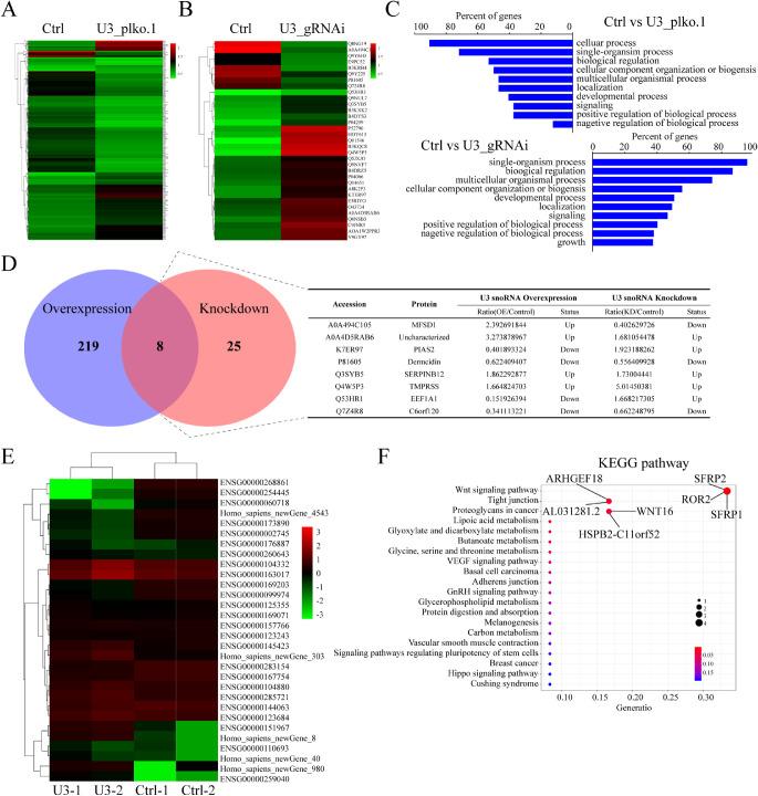 https://cdn.ncbi.nlm.nih.gov/pmc/blobs/59b2/9055567/29419d8798e2/iovs-63-4-17-f006.jpg