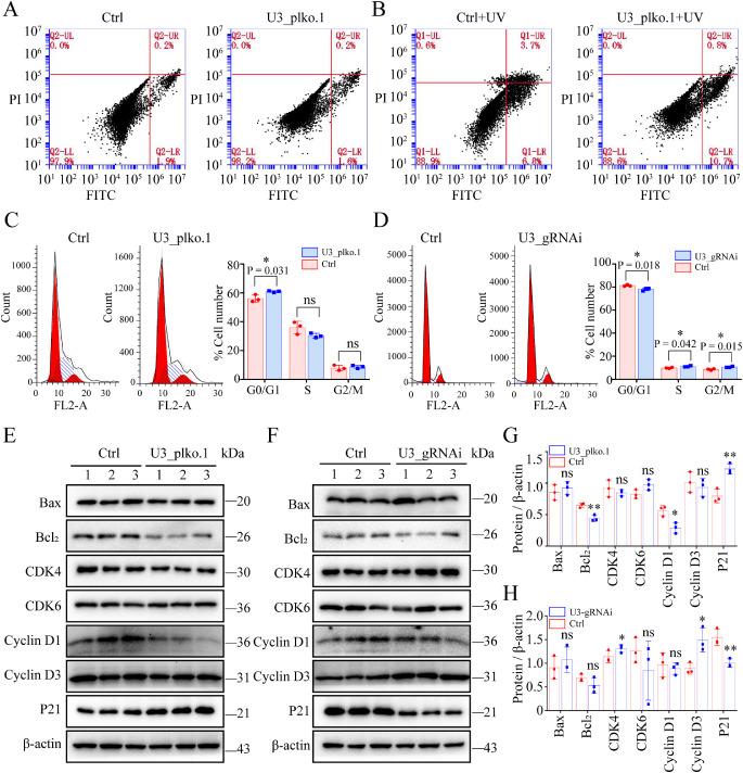 https://cdn.ncbi.nlm.nih.gov/pmc/blobs/59b2/9055567/82182ba1bb20/iovs-63-4-17-f004.jpg