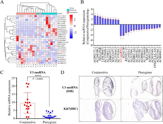 https://cdn.ncbi.nlm.nih.gov/pmc/blobs/59b2/9055567/ae358f83f14c/iovs-63-4-17-f001.jpg