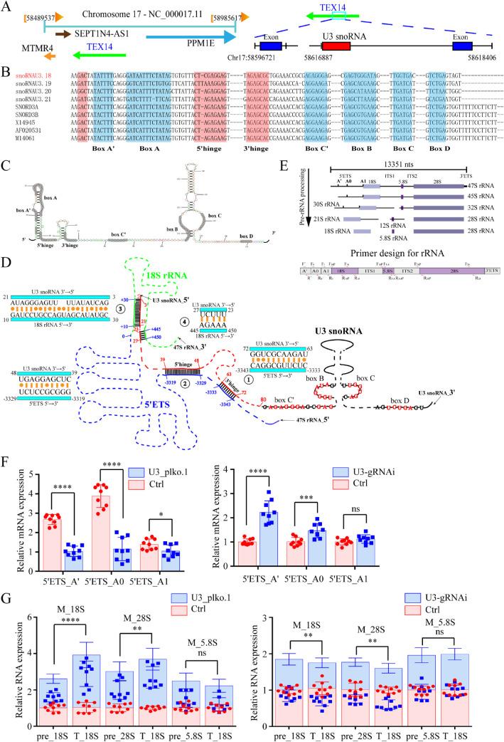 https://cdn.ncbi.nlm.nih.gov/pmc/blobs/59b2/9055567/cec63750d821/iovs-63-4-17-f005.jpg