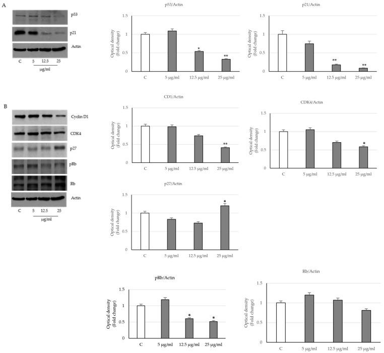 https://cdn.ncbi.nlm.nih.gov/pmc/blobs/59b8/10671002/2d3b4c2d0489/ijms-24-16351-g002.jpg
