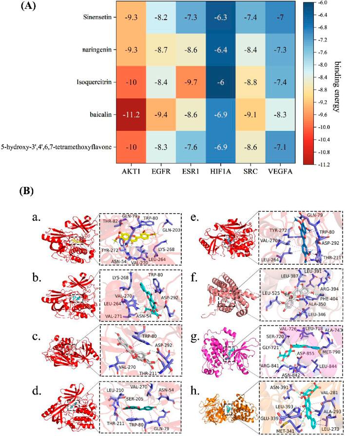 https://cdn.ncbi.nlm.nih.gov/pmc/blobs/59b8/12106310/ffa06dcdf33f/fphar-16-1575270-g002.jpg