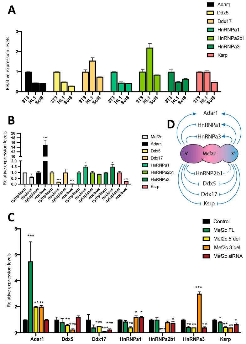 https://cdn.ncbi.nlm.nih.gov/pmc/blobs/59bb/11130849/f99e0b0f7be2/ncrna-10-00032-g003.jpg