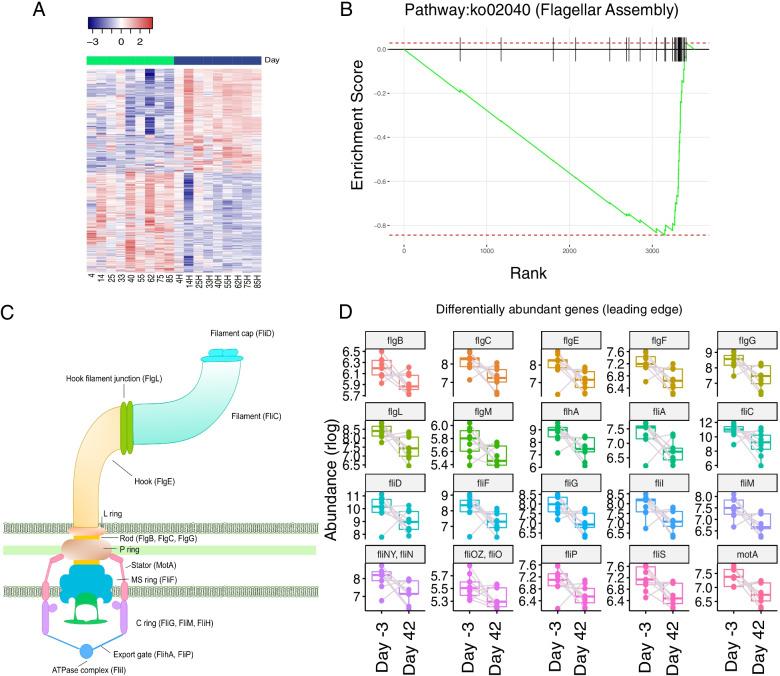 https://cdn.ncbi.nlm.nih.gov/pmc/blobs/59bd/8988407/68ae2ad0d99d/12866_2022_2494_Fig7_HTML.jpg