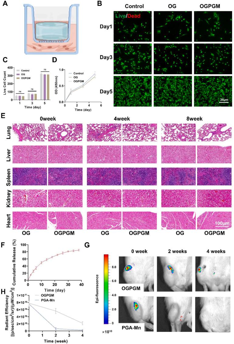 https://cdn.ncbi.nlm.nih.gov/pmc/blobs/59c3/10909650/35478feb49d0/gr3.jpg
