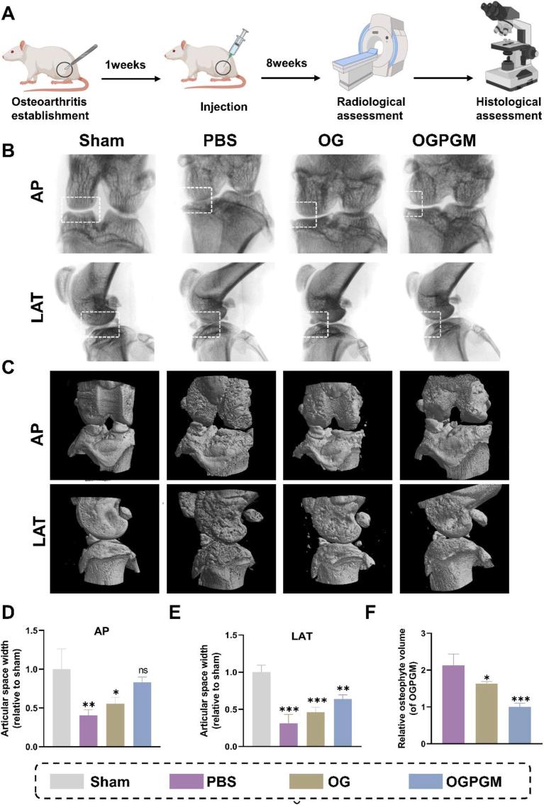 https://cdn.ncbi.nlm.nih.gov/pmc/blobs/59c3/10909650/90552c9205fb/gr6.jpg