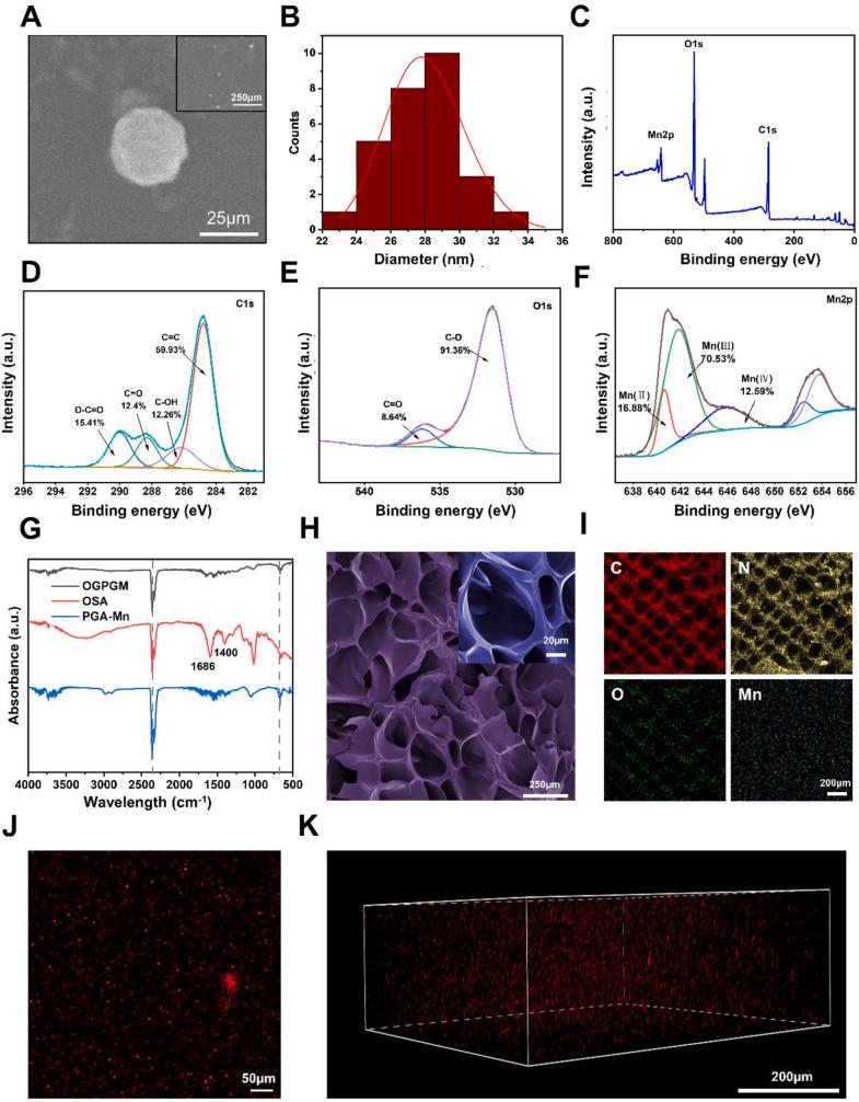 https://cdn.ncbi.nlm.nih.gov/pmc/blobs/59c3/10909650/d0e21584696e/gr1.jpg