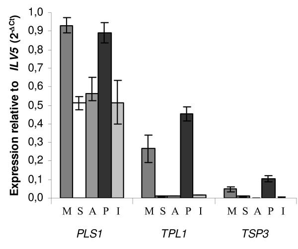 https://cdn.ncbi.nlm.nih.gov/pmc/blobs/59c3/2278132/0000f9d95378/1471-2164-9-63-6.jpg