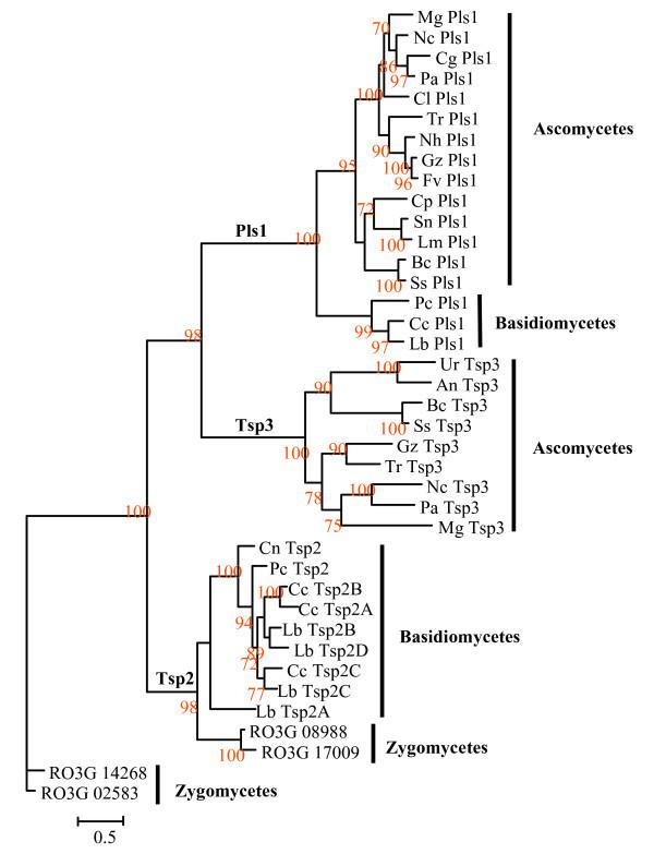 https://cdn.ncbi.nlm.nih.gov/pmc/blobs/59c3/2278132/8fddaf09bdef/1471-2164-9-63-5.jpg